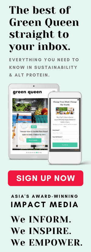 Newsletter Signup Banner Vertical